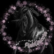 Danni Romeycke's photo