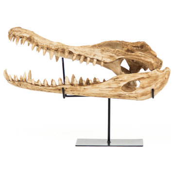 Alligator Skull Statue
