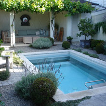 Endless pools/swim spas