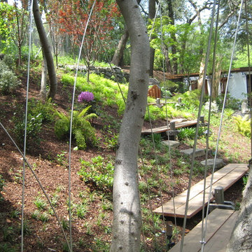 Asian Inspired Garden