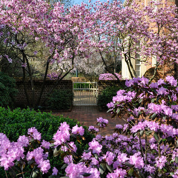 Walled Garden