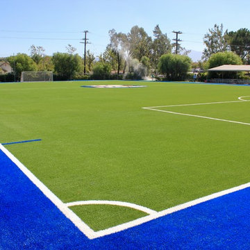 Custom Sport fields