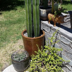 Planters - Products
