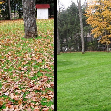 Fall Cleanup Services
