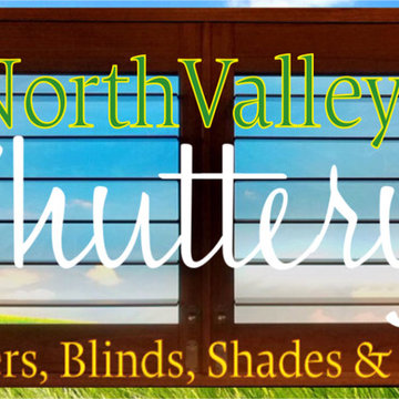 NVS Logo