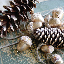 pinecones