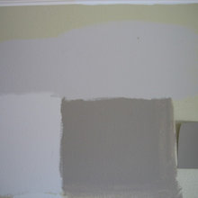 Paint Trial