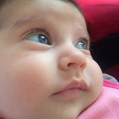 Foto von Rima Chamoun Layous