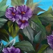 Ranya Bazeed's photo
