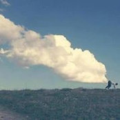 Lisa Kavanaugh's photo