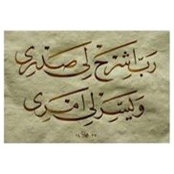 Ahmed Elshal's photo
