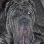 keith_milners billede