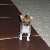 Steve Nalick's photo