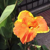 Laura Angley's photo