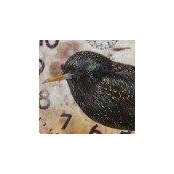 Amy Duncan's photo
