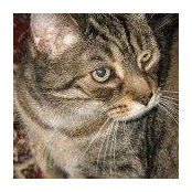 Kim Bond's photo
