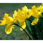 Barbara Lipa's photo