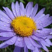 Melissa Schumacher's photo