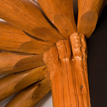 TThe Carousel House; Murray Arnottt Design. LogWork: Nicola LogWorks