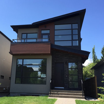 Altadore Modern Infill
