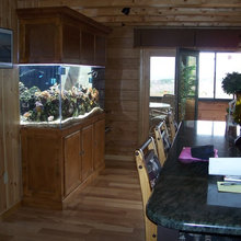 Built in Fish Tanks