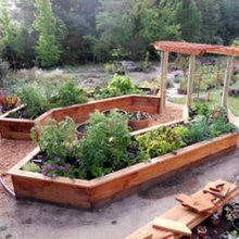 Veggie Garden Space