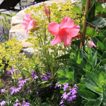 Coastal plantings, June 2014