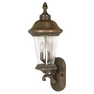 Platinum Gold and Clear Seed Glass Exterior Wall Light Fixture