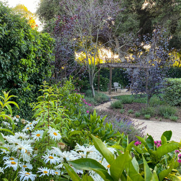 Montecito Hedgerow