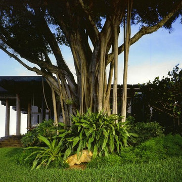 Vincent Island House