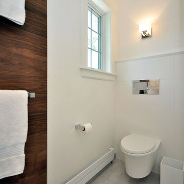 Wall hung toilet