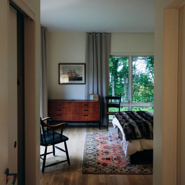 Single-Storey Oasis in Annandale