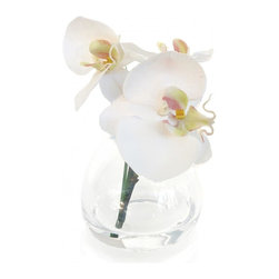 White Phalaenopsis and Grass Teardrop Vase - Products