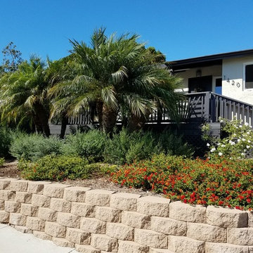 Bay Park refresh