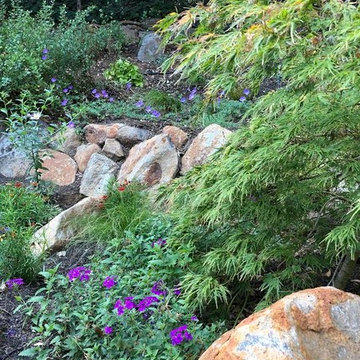 Waterfall Hillside Garden