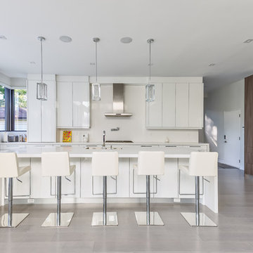 Southview Modern Home