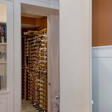 The Potentials of a Basement