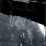 Jane Lee's photo