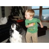 Dawn Stodola's photo