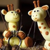 Fiona Simeons's photo