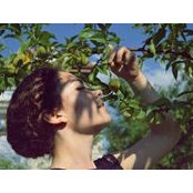 Alexandra Mircea's photo