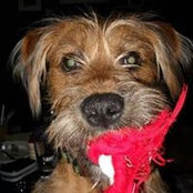 Anne Rasmussen's photo