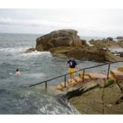 David Wolf's photo