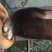 Kyle McKinzey's photo