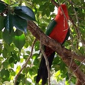 Elizabeth Pender's photo