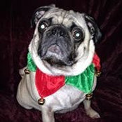 Kenneth Galante's photo