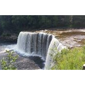 Darla Nelson's photo
