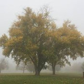 Rafi Metz's photo