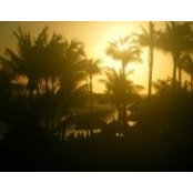 Barbara Kirkley's photo