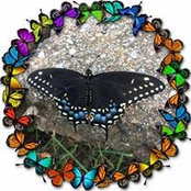 Claudia Heff's photo